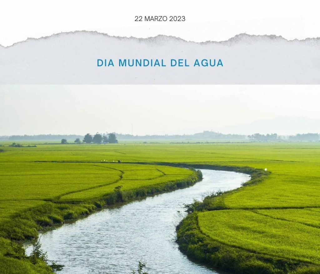 Ahorro de agua en nuestras variedades de Césped Natural. Resistente a la sequía cultivado por Tepeservi, ideal para ahorrar agua en jardines y zonas verdes.