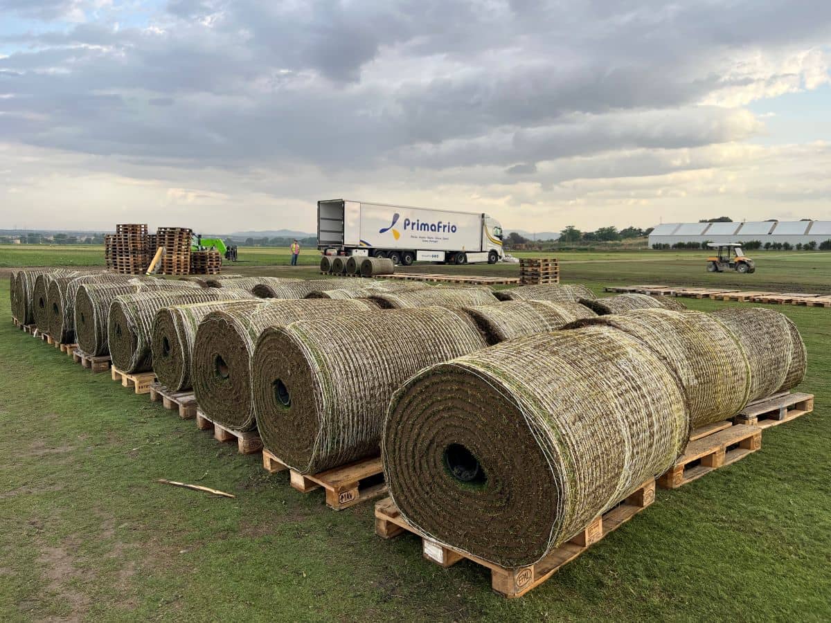 Palet de Maxi Big Roll de Tahoma 31 - Césped Natural - Tepeservi