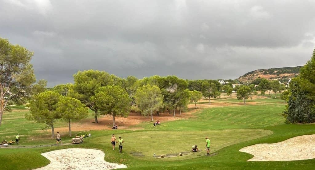 Campo de Golf - Césped Natural - Tepeservi