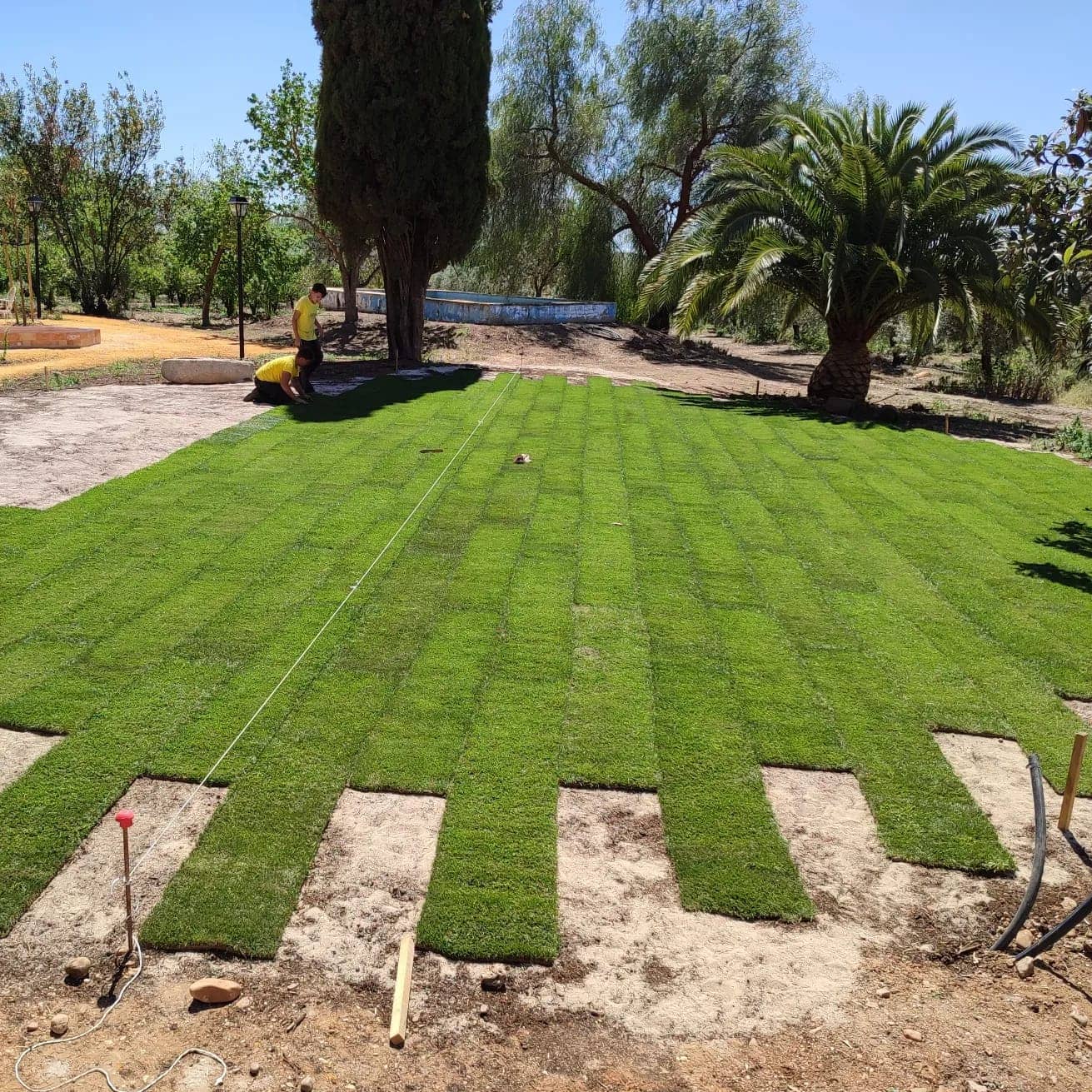 Montaje de jardín con la variedad de extrem grass - Tepeservi