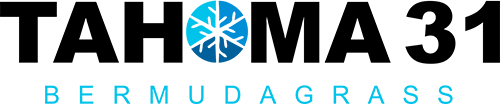 Logo Bermuda Híbrida Tahoma 31
