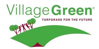 Logo variedad Pennisetum clandestinum - Village green